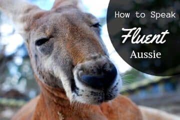 How To Speak Fluent Aussie